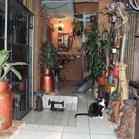 Hostal Del Este Santa Fe Σαν Χοσέ Εξωτερικό φωτογραφία