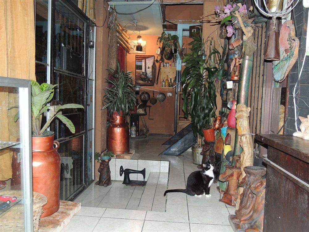 Hostal Del Este Santa Fe Σαν Χοσέ Εξωτερικό φωτογραφία